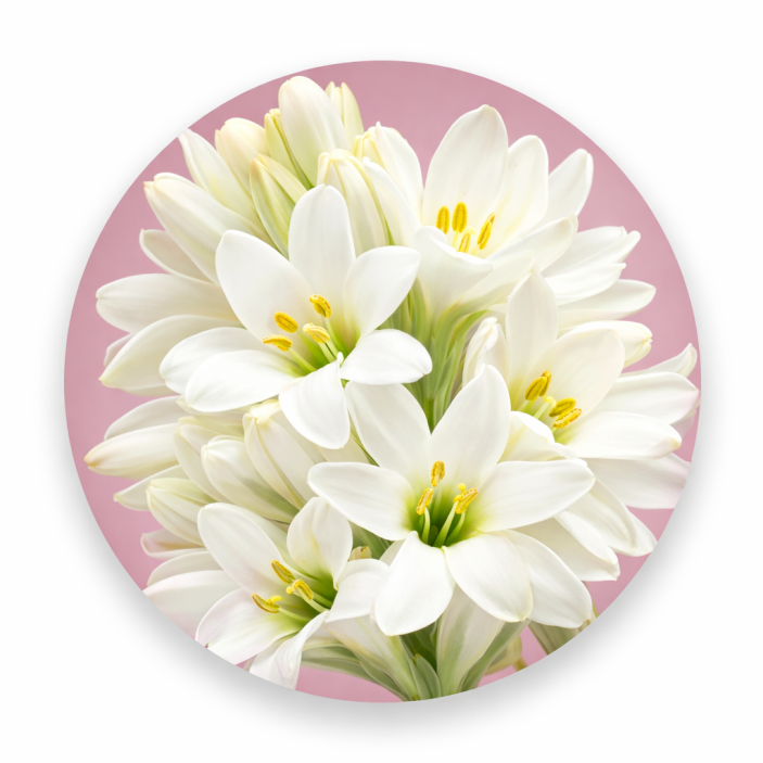 Obrazek dla: KOMINEK ZAPACHOWY STEEL 1 BIAŁY NR 33 30 ML